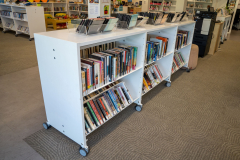Shelvi-Dartmouth-North-Library-10-R