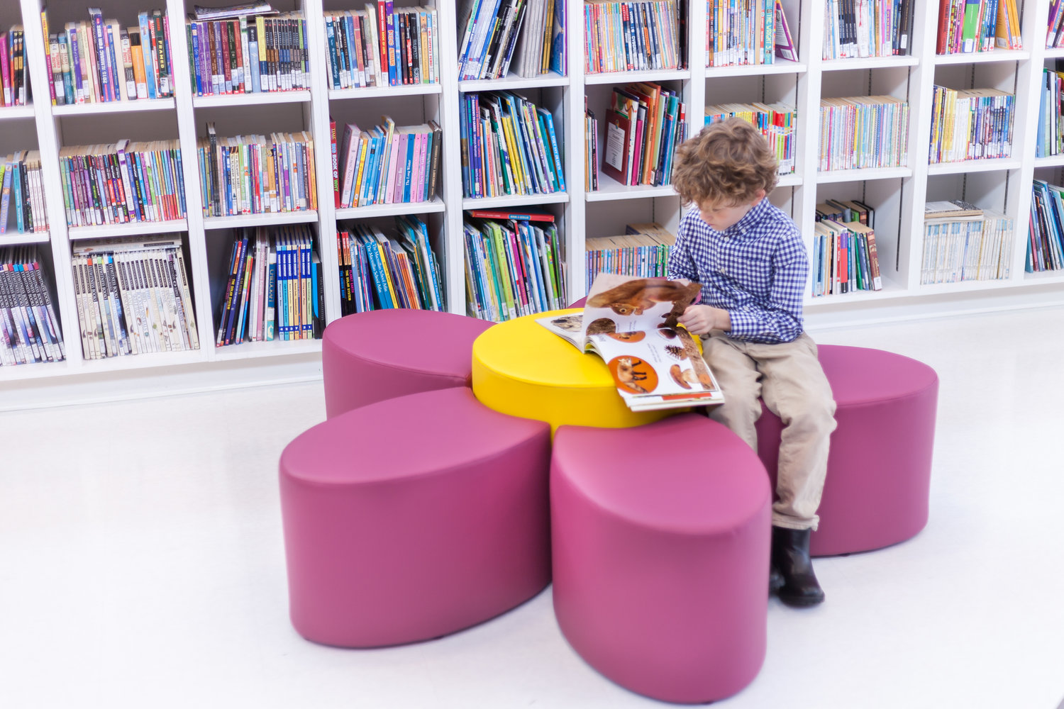 Bible Hill Elementary project library shelving